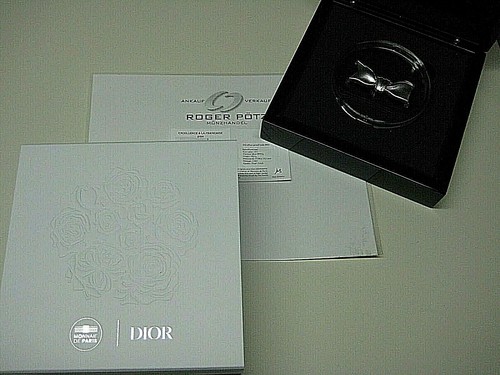 Euro dior 2021 silber - silber, pp